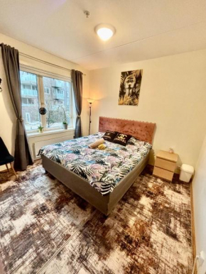 Comfortable room